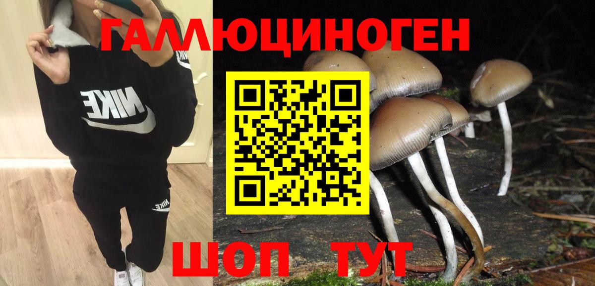 Псилоцибиновые грибы GOLDEN TEACHER  Вход с VPN  купить наркотик  Елец 
