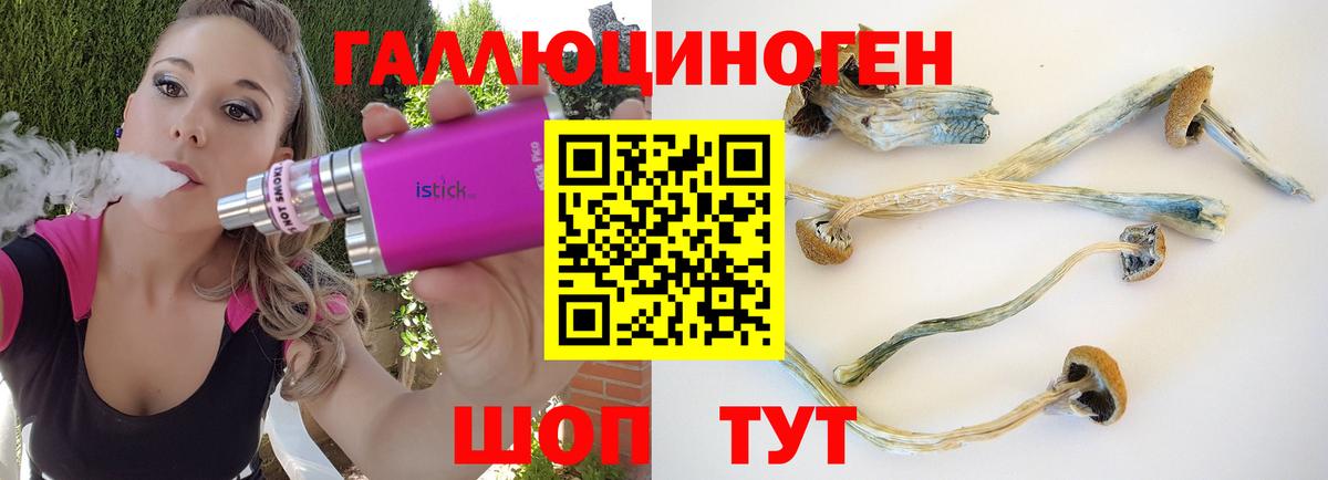 Галлюциногенные грибы мухоморы Елец